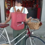 Шипкова раница